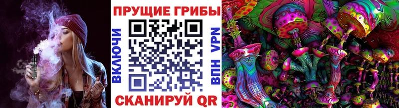 Галлюциногенные грибы Cubensis Купить закладки Сольвычегодск