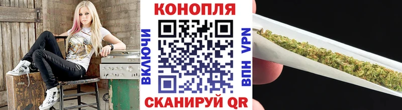 Бошки марихуана THC 21%  Купить где  Сольвычегодск 